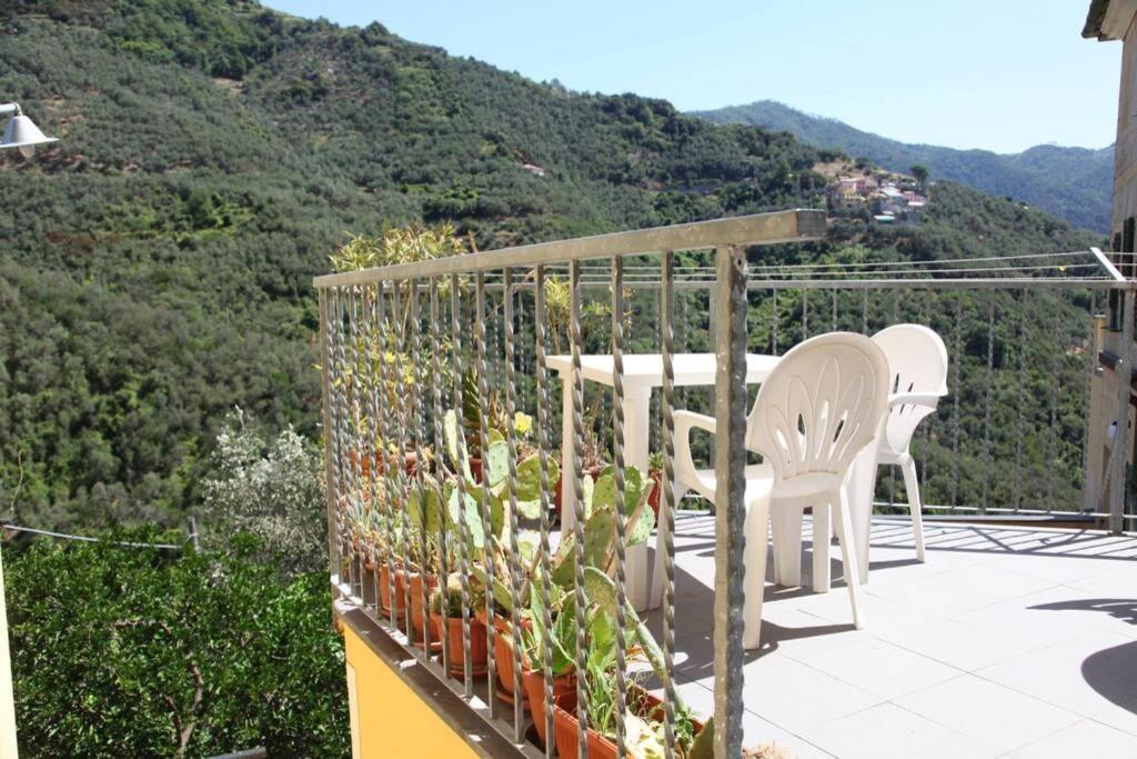 Le Case Della Lizza - Casa Verde Levanto Exterior photo